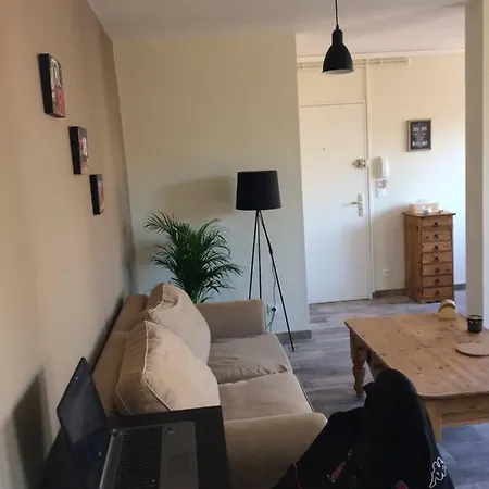 Apartman Meuble De Tourisme Au Troubadour, Vaste T2 Proximite Republique Avec Garage *
